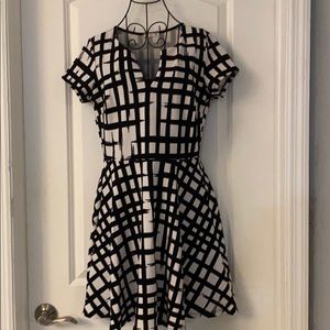 Fit and Flare Black and White Dress